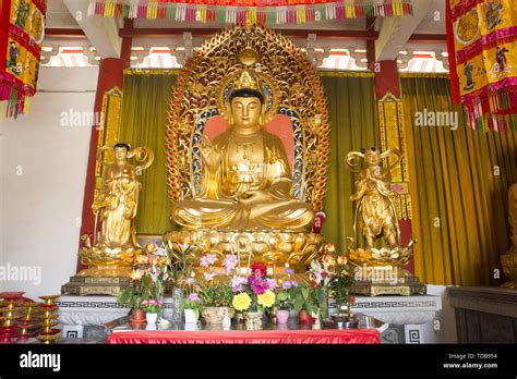 De Zhonghua Tempel: Een Oase van Vrede en Traditionele Schoonheid!